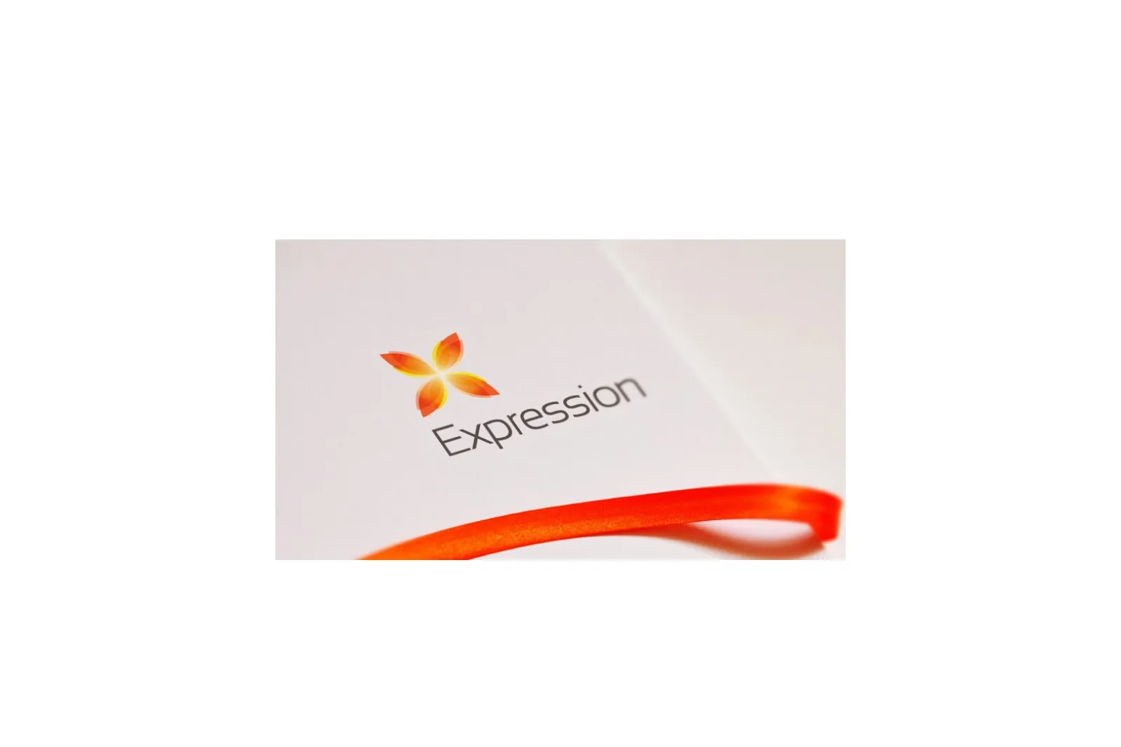 Фирменная папка с пластичной цветной линией — Expression